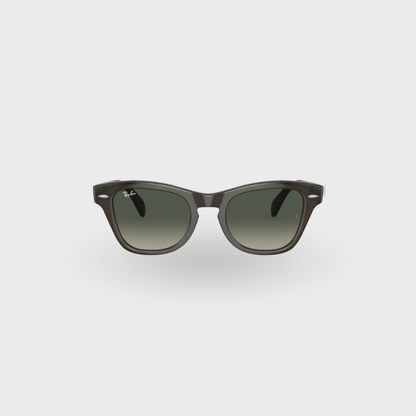 RB0707S-901/31